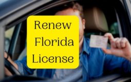 How to Renew Florida License Using FLHSMV?
