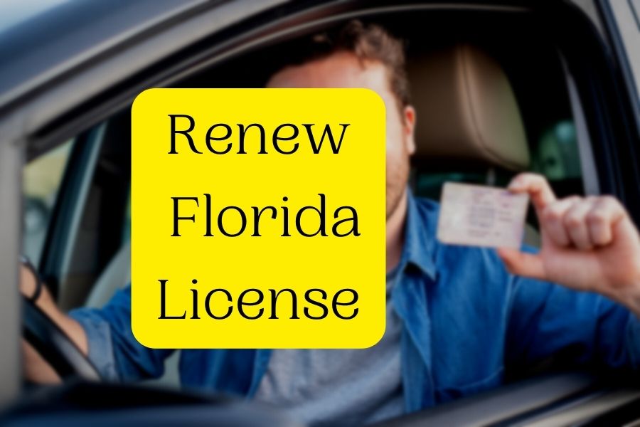 Renew Florida License