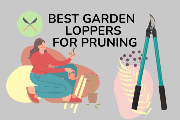 Best Garden Loppers For Pruning