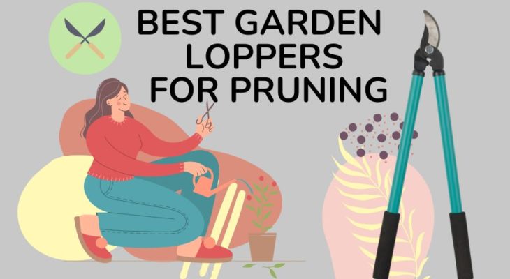 <strong>How To Buy The Best Garden Loppers For Pruning?</strong>