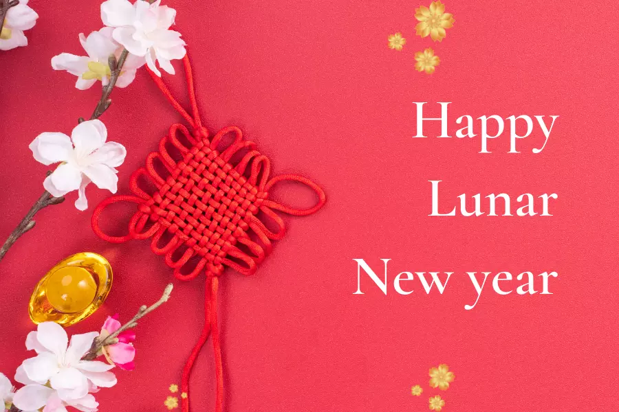 Chinese Lunar new year - January Global Holiday