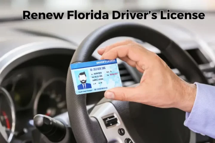 Renew Florida Driver License